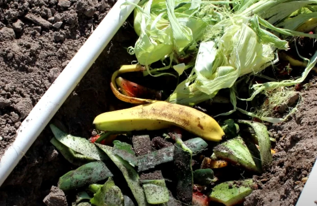 A diverse vegetable garden featuring a banana and various other vegetables.