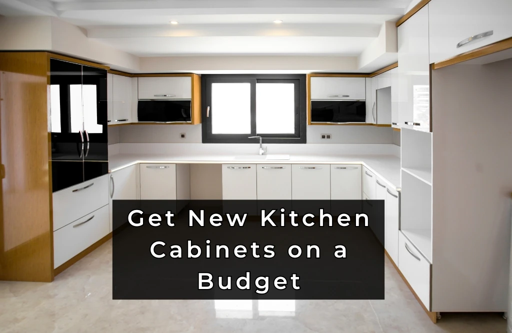 Budget-friendly kitchen cabinets displayed in a modern setting are ideal for those looking to enhance their cooking space economically.