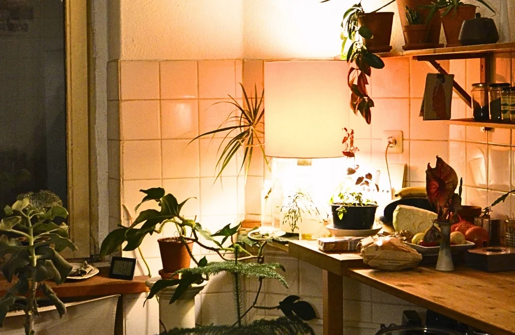 Table in kitchen with lamp, showcasing natural elements such as wood and greenery.