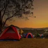 A variety of colorful tents pitched on a grassy field at sunset with trees in the background.