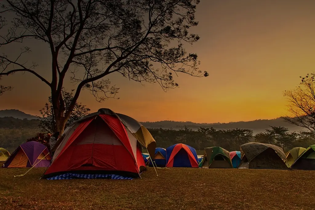 A variety of colorful tents pitched on a grassy field at sunset with trees in the background.