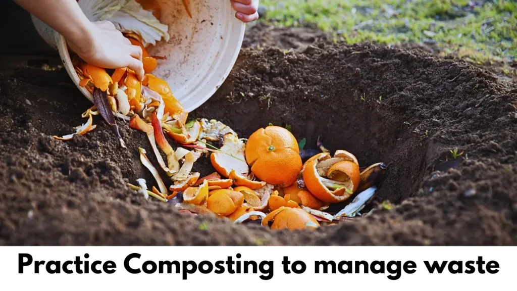 Hands adding orange peels to a compost pit for eco-friendly waste disposal.